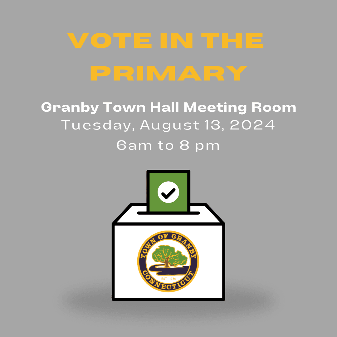 primary vote 8.13.24