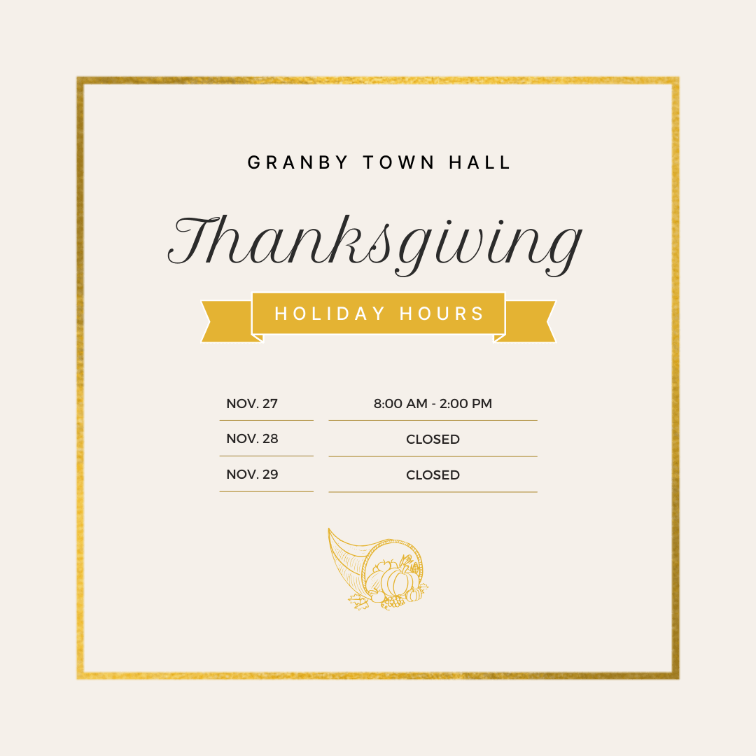 town hall opening hours 11.12.2024